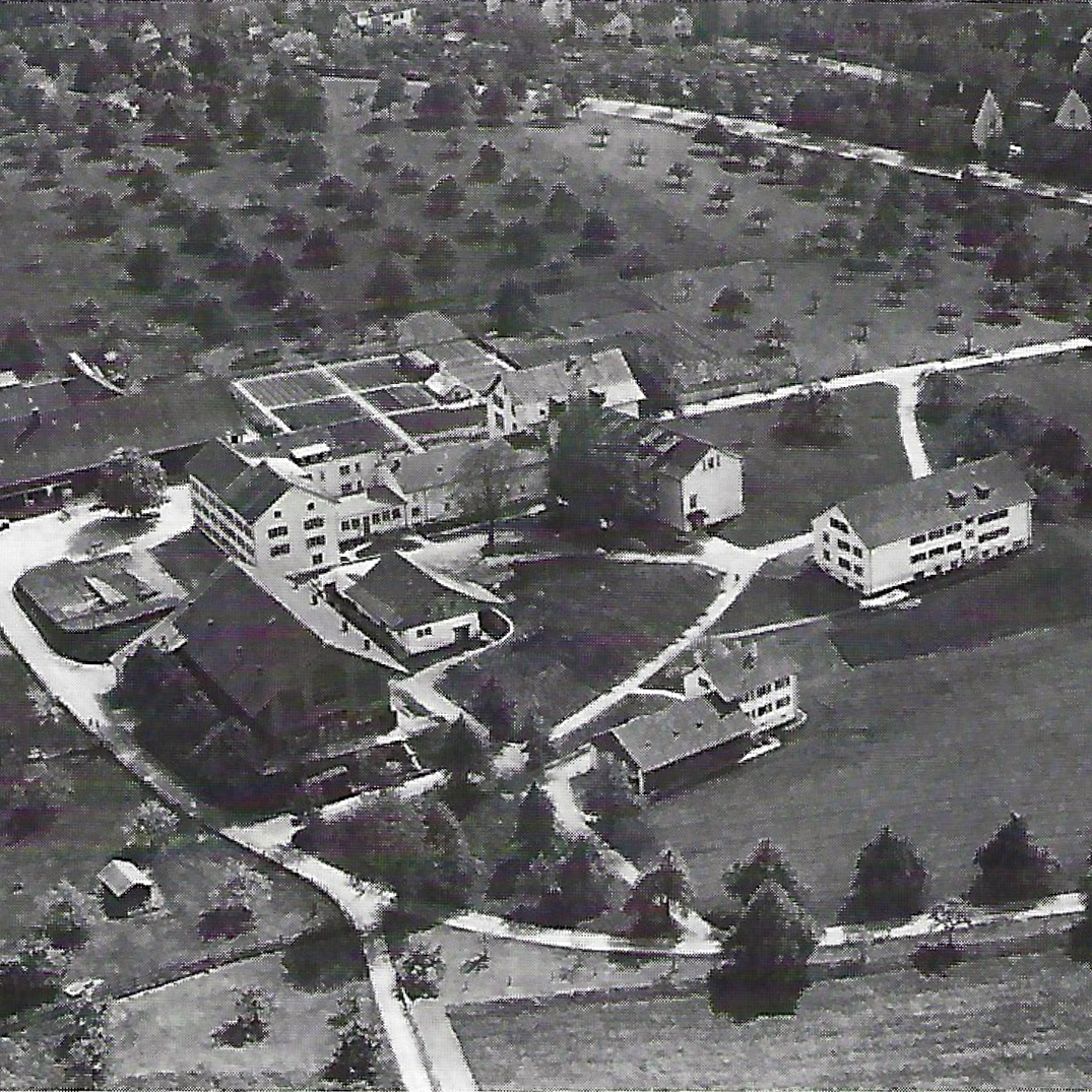 Foto vom Strickhof (Landwirtscahftsschule, 1949, Luftaufnahme)