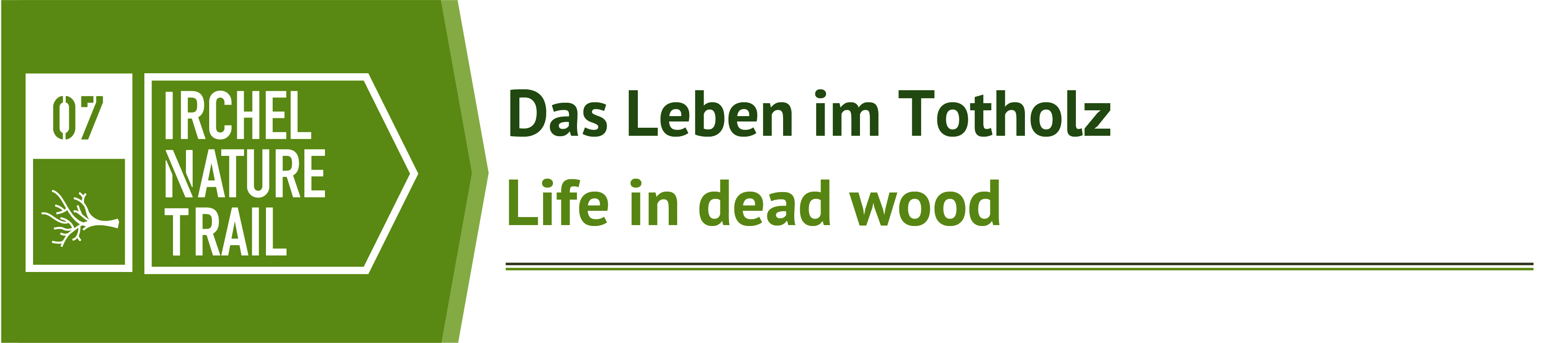 Banner Irchel Nature Trail 7 - Das Leben im Totholz