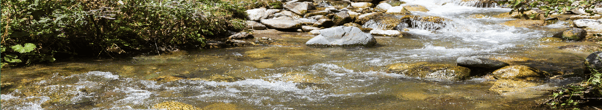 Foto eines Flusslaufes