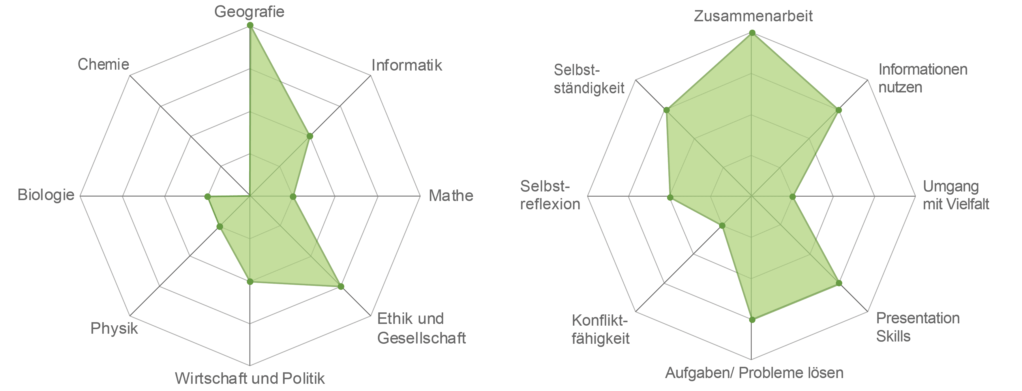 Links, Spiderweb für Fachbereiche (Werte von 0 bis 5): Chemie=0, Geographie=4, Informatik=2, Mathe=1, Ethik und Gesellschaft=3, Wirtschaft und Politik=2, Physik=1, Biologie=1. Rechts, Spiderweb für Kompetenzen (Werte von 0 bis 5): Selbständigkeit=3, Zusammenarbeit=4, Informationen nutzen=3, Umgang mit Vielfalt=1, Presentation Skills=3, Probleme lösen=3, Konflikt-Fähigkeit=1, Selbstreflexion=2.