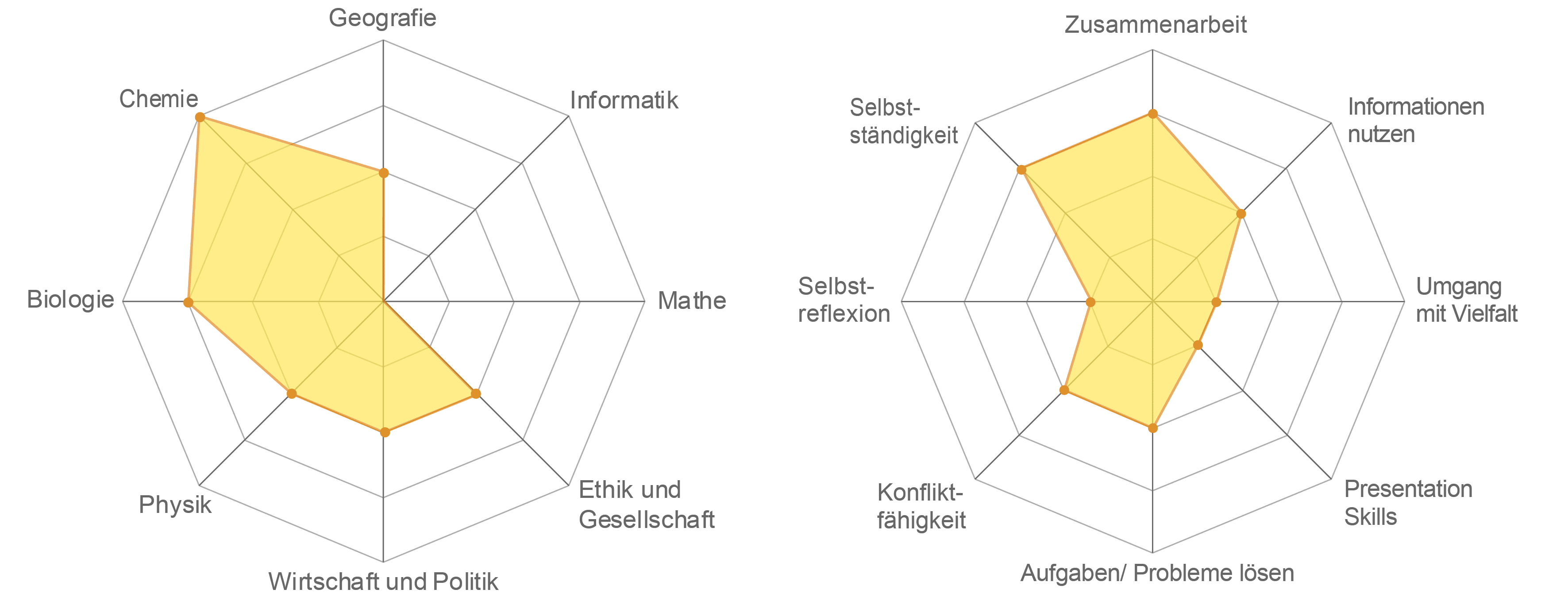 Links, Spiderweb für Fachbereiche (Werte von 0 bis 5): Chemie=4, Geographie=2, Informatik=0, Mathe=0, Ethik und Gesellschaft=2, Wirtschaft und Politik=2, Physik=2, Biologie=3. Rechts, Spiderweb für Kompetenzen (Werte von 0 bis 5): Selbständigkeit=3, Zusammenarbeit=3, Informationen nutzen=2, Umgang mit Vielfalt=1, Presentation Skills=1, Probleme lösen=2, Konflikt-Fähigkeit=2, Selbstreflexion=1.