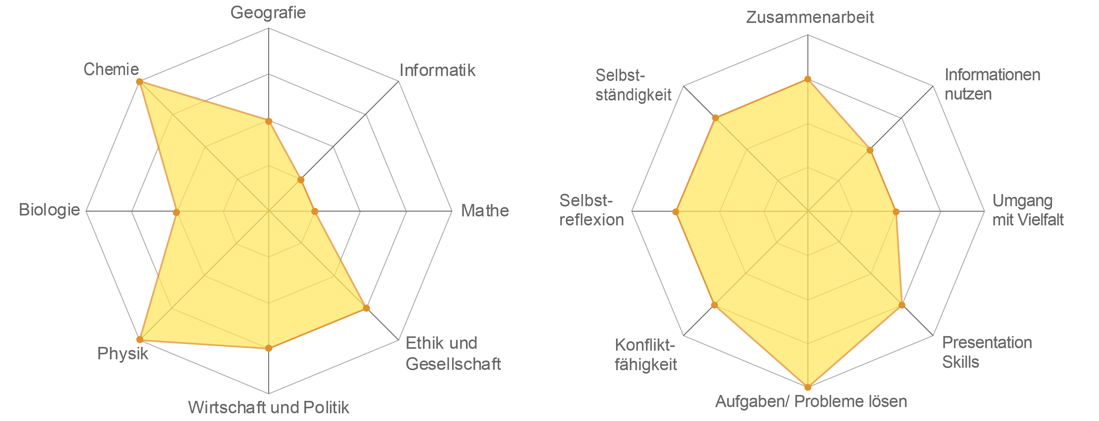 Links, Spiderweb für Fachbereiche (Werte von 0 bis 5): Chemie=4, Geographie=2, Informatik=1, Mathe=1, Ethik und Gesellschaft=3, Wirtschaft und Politik=3, Physik=4, Biologie=2. Rechts, Spiderweb für Kompetenzen (Werte von 0 bis 5): Selbständigkeit=3, Zusammenarbeit=3, Informationen nutzen=2, Umgang mit Vielfalt=2, Presentation Skills=3, Probleme lösen=4, Konflikt-Fähigkeit=3, Selbstreflexion=3.