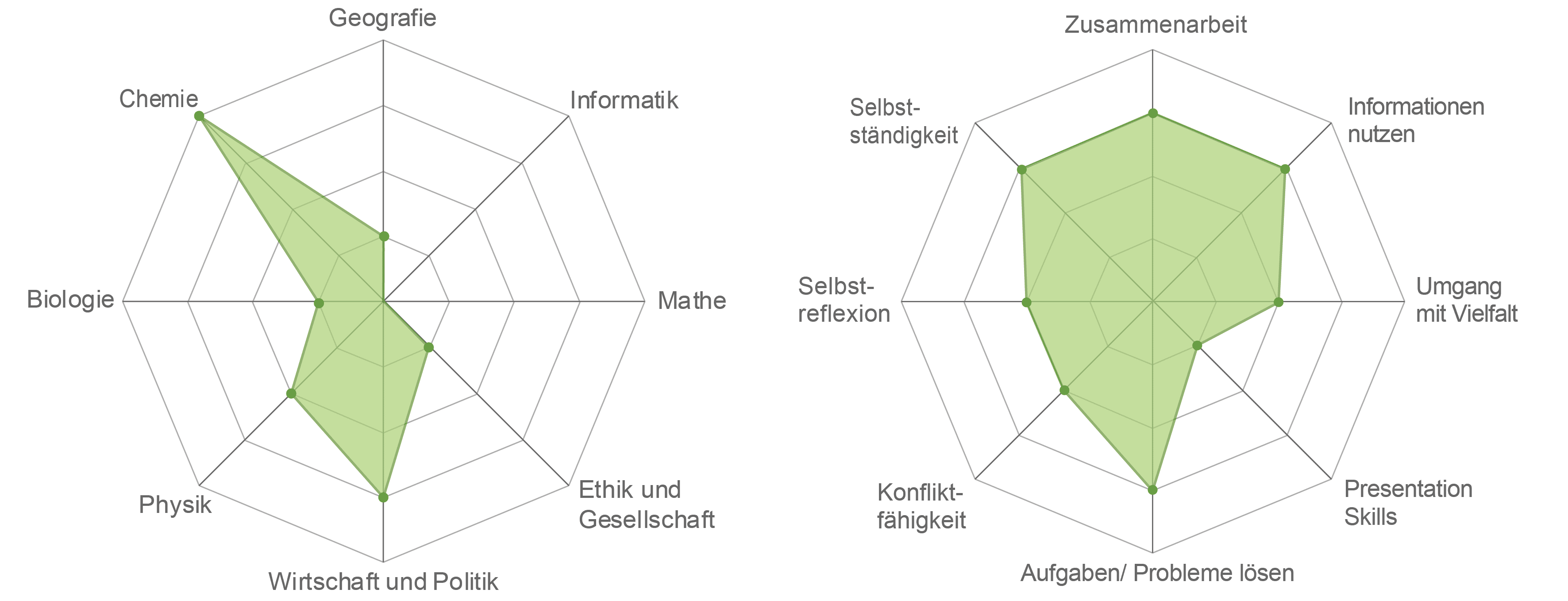 Links, Spiderweb für Fachbereiche (Werte von 0 bis 5): Chemie=4, Geographie=1, Informatik=0, Mathe=0, Ethik und Gesellschaft=1, Wirtschaft und Politik=3, Physik=2, Biologie=1. Rechts, Spiderweb für Kompetenzen (Werte von 0 bis 5): Selbständigkeit=3, Zusammenarbeit=3, Informationen nutzen=3, Umgang mit Vielfalt=2, Presentation Skills=1, Probleme lösen=3, Konflikt-Fähigkeit=2, Selbstreflexion=2.