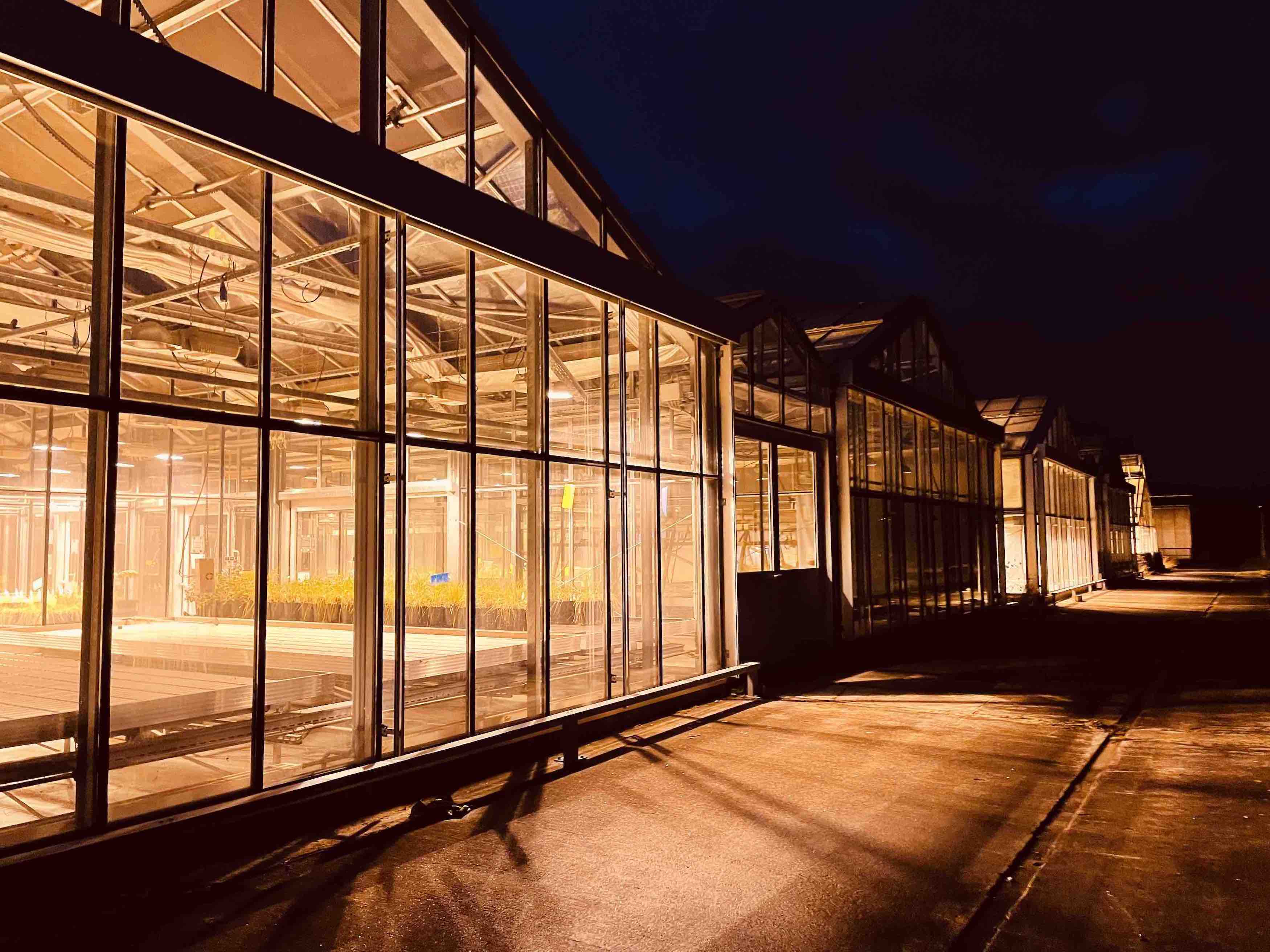 Standorte und Instrumente 3. Preis: Nocturnal Greenhouses. Fascinating evening moment from one of the sites of Agroscope Reckenholz, where I worked on biologicals during my (UZH) biology bachelor internship. By Gaia Zorzi