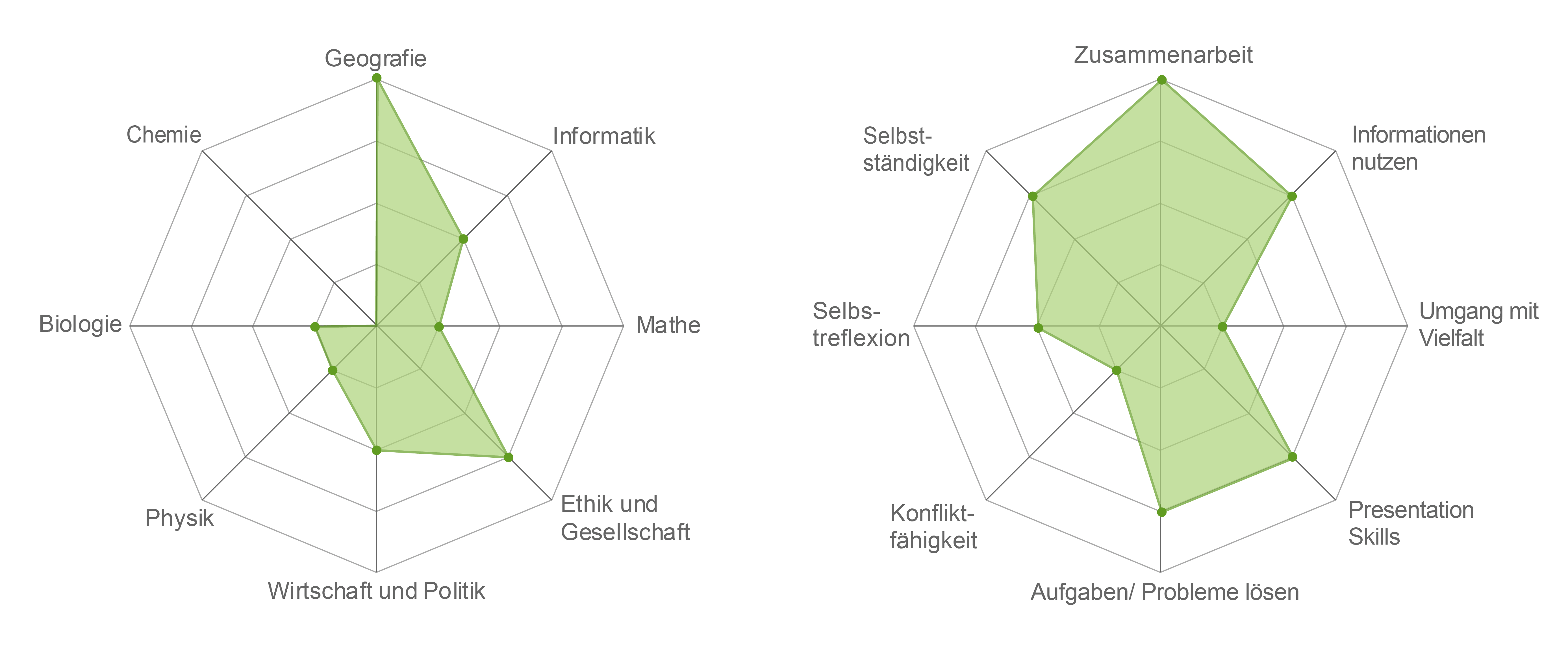 Links, Spiderweb für Fachbereiche (Werte von 0 bis 5): Chemie=0, Geographie=4, Informatik=2, Mathe=1, Ethik und Gesellschaft=3, Wirtschaft und Politik=2, Physik=1, Biologie=1. Rechts, Spiderweb für Kompetenzen (Werte von 0 bis 5): Selbständigkeit=3, Zusammenarbeit=4, Informationen nutzen=3, Umgang mit Vielfalt=1, Presentation Skills=3, Probleme lösen=3, Konflikt-Fähigkeit=1, Selbstreflexion=2.