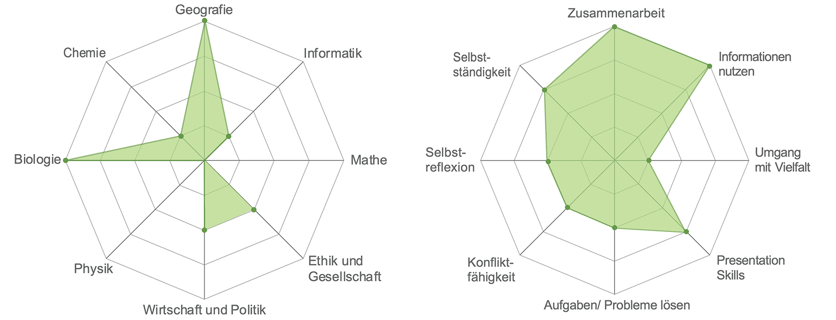 Spiderweb für Fachbereiche links (Werte von 0 bis 5): Chemie=0, Geographie=3, Informatik=1, Mathe=0, Ethik und Gesellschaft=3, Wirtschaft und Politik=3, Physik=0, Biologie=4. Spiderweb für Skills rechts (Werte von 0 bis 5): Selbständigkeit=3, Zusammenarbeit=4, Informationen nutzen=4, Umgang mit Vielfalt=1, Presentation Skills=4, Probleme lösen=2, Konflikt-Fähigkeit=2, Selbstreflexion=3