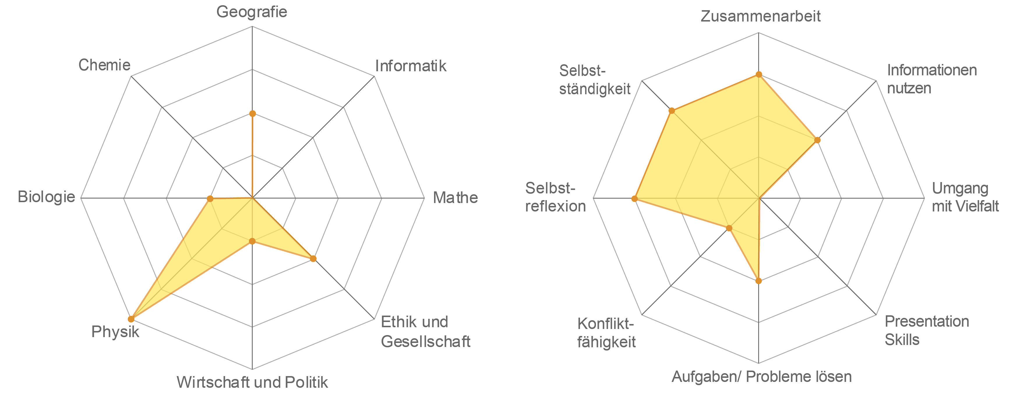 Links, Spiderweb für Fachbereiche (Werte von 0 bis 5): Chemie=0, Geographie=0, Informatik=0, Mathe=0, Ethik und Gesellschaft=2, Wirtschaft und Politik=1, Physik=4, Biologie=0. Rechts, Spiderweb für Kompetenzen (Werte von 0 bis 5): Selbständigkeit=3, Zusammenarbeit=3, Informationen nutzen=2, Umgang mit Vielfalt=0, Presentation Skills=0, Probleme lösen=2, Konflikt-Fähigkeit=1, Selbstreflexion=3.