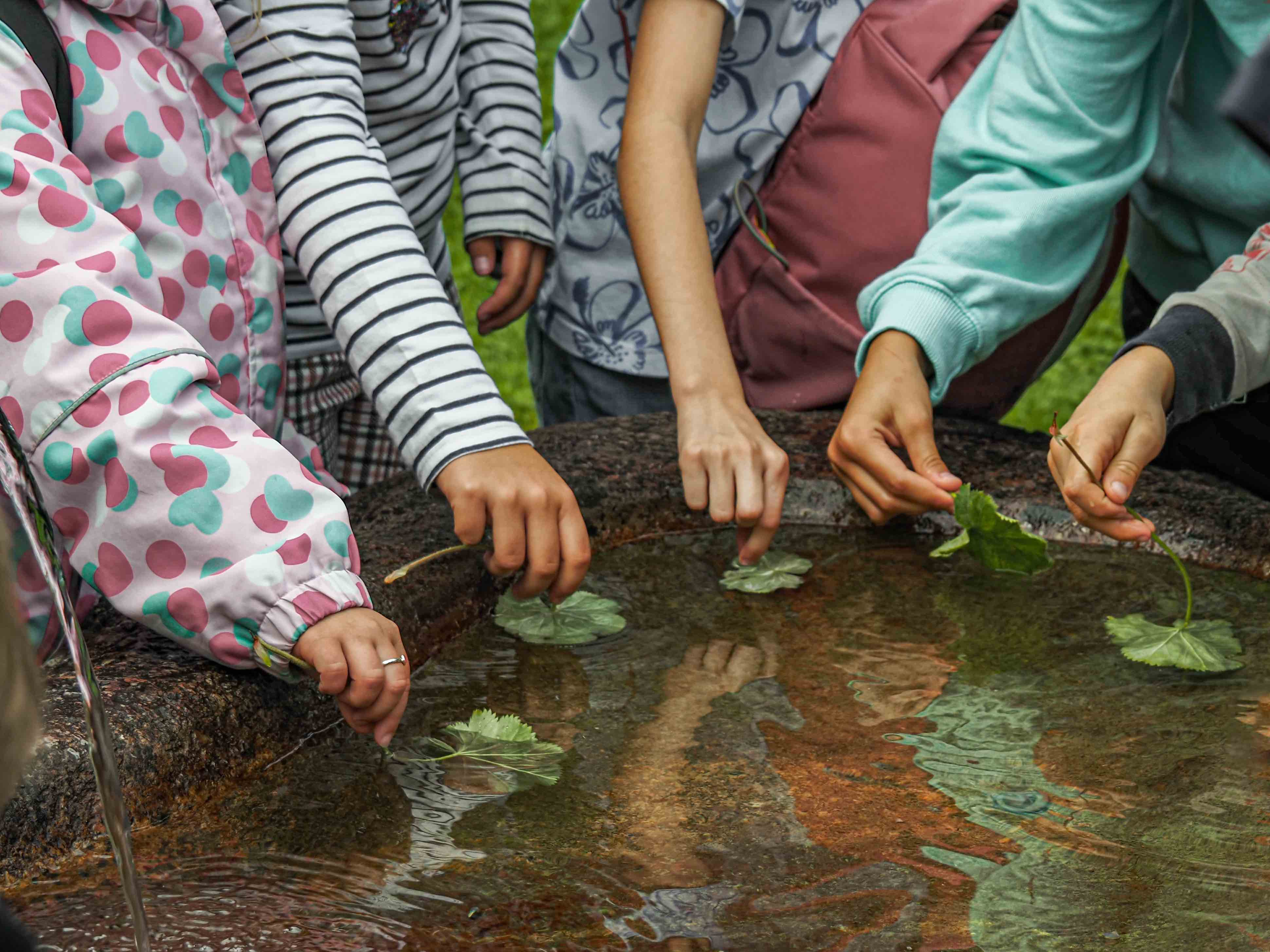 Interaktionen 1. Preis: Schulkinder beim Versuch das Blatt des Frauenmantels nass zu machen. Bei einer Schulklassenführung wurde das Thema Lotoseffekt durchgenommen und die Kinder durften den Versuch machen, ein Frauenmantelblatt nass zu machen, was ihnen wegen eben diesem Effekt nicht gelang. Sie tauchten es ins Wasser und hielten es unter einem fliessenden Wasserhahn, aber das Wasser perlte immer wieder vom Blatt ab und blieb so trocken wie zuvor. By Claudia Winteler