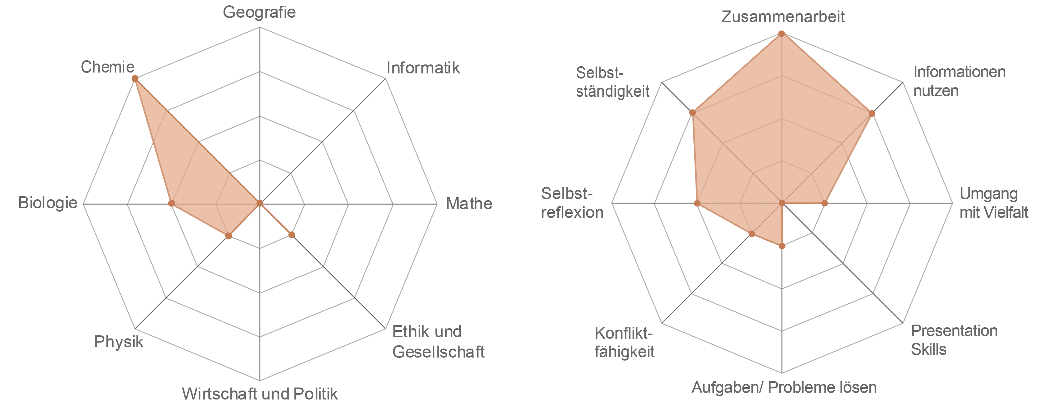 Links, Spiderweb des Kursinhalts: Chemie 4/4, Biologie 2/4, Physik 1/4, Wirtschaft und Politik 0/4, Ethik und Gesellschaft 1/4, Mathe 0/4, Informatik und Geografie 0/4, Rechts, Spiderweb der geförderten Kompetenzen: Zusammenarbeit 4/4, Informationen nutzen & Selbstständigkeit 3/4, Selbstreflexion 2/4, Konfliktfähigkeit, Aufgaben/Probleme lösen, Umgang mit Vielfalt 1/4, Presentation skills 0/4.