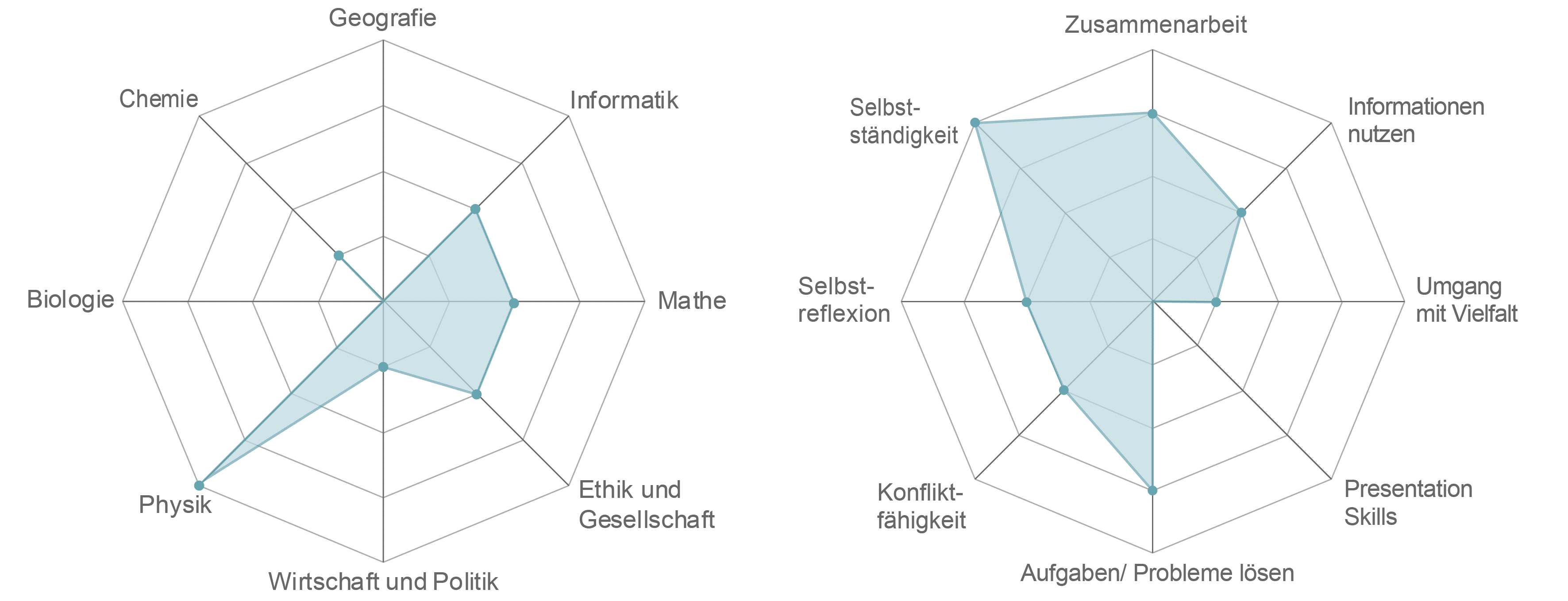 Links, Spiderweb für Fachbereiche (Werte von 0 bis 5): Chemie=1, Geographie=0, Informatik=2, Mathe=2, Ethik und Gesellschaft=2, Wirtschaft und Politik=1, Physik=4, Biologie=0. Rechts, Spiderweb für Kompetenzen (Werte von 0 bis 5): Selbständigkeit=4, Zusammenarbeit=3, Informationen nutzen=2, Umgang mit Vielfalt=1, Presentation Skills=0, Probleme lösen=3, Konflikt-Fähigkeit=2, Selbstreflexion=2.