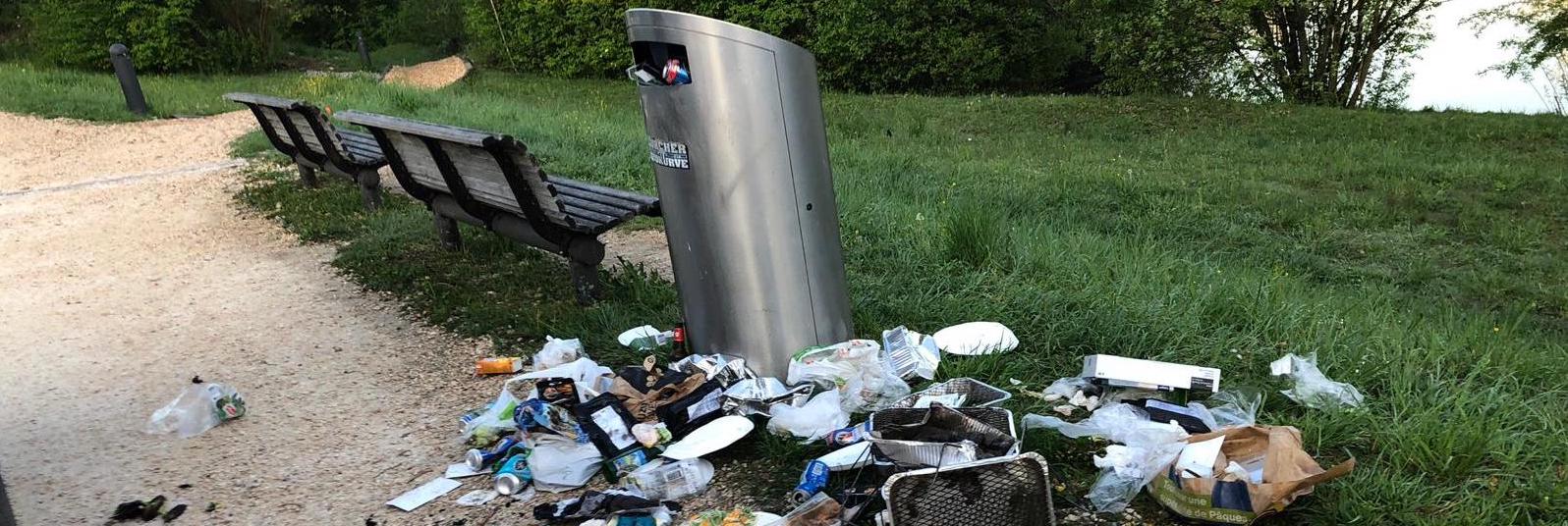 einen Mülleimer, der von auf der Wiese verstreuten Abfällen umgeben ist.